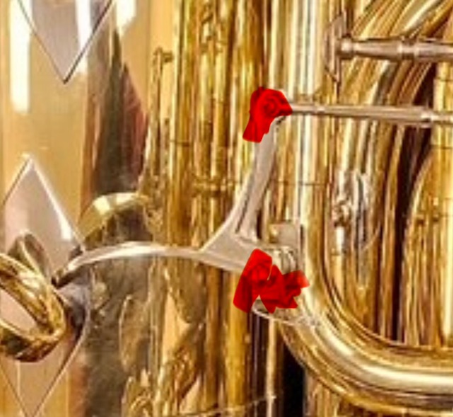 IMG_2758.jpeg